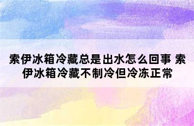 索伊冰箱冷藏总是出水怎么回事 索伊冰箱冷藏不制冷但冷冻正常